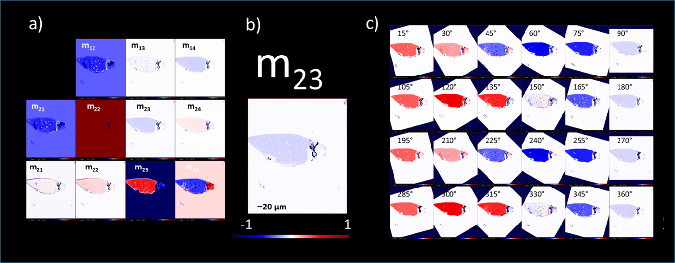 2d_materials_characterization_with_ISE_and_IMME.png